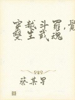 穿越斗罗,觉醒双生武魂
