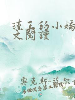 瑾王的小娇夫全文阅读