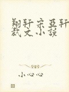 翔轩宋亚轩是总裁文小说