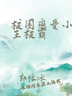 校园恋爱小说男主校霸
