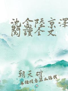 沈念陆京泽免费阅读全文
