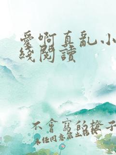 爱啊真乱小说在线阅读