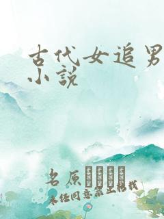 古代女追男言情小说