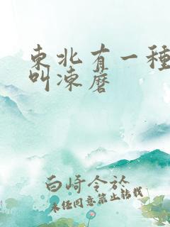 东北有一种蘑菇叫冻蘑