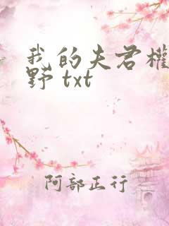 我的夫君权倾朝野 txt