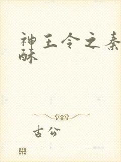 神王令之秦天苏酥