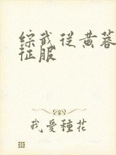 综武从黄蓉开始征服