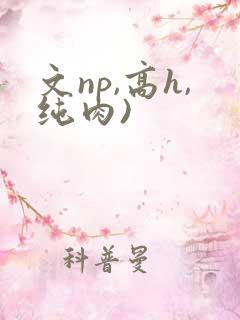 文np,高h,纯肉)
