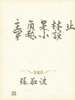 主角是林止陌的穿越小说