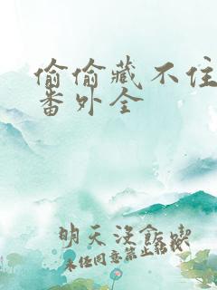 偷偷藏不住新婚番外全