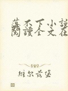 落不下小说免费阅读全文在线阅读