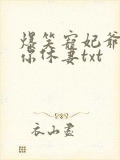 爆笑宠妃爷我等你休妻txt