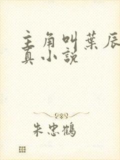 主角叫叶辰的修真小说
