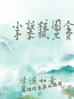 小说校园全能高手季枫免费完本