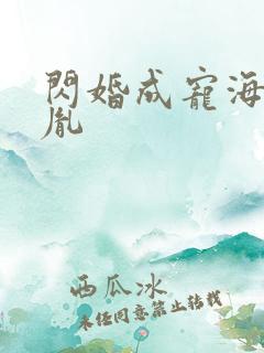 闪婚成宠海彤战胤