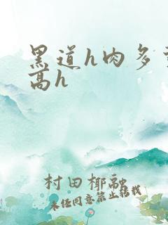 黑道h肉多荤文高h