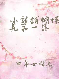 小说捕蝴蝶秦三见第一集