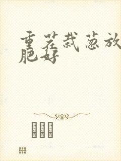 重茬栽葱放什么肥好