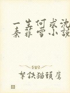 一生何求沈浩然秦菲雪小说