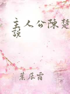 主人公陈楚的小说