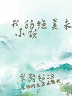 我的绝美未婚妻 小说