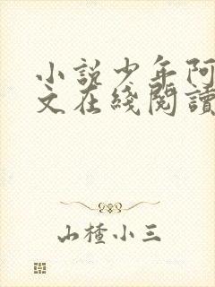 小说少年阿宾全文在线阅读