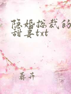 隐婚总裁的绯闻甜妻txt