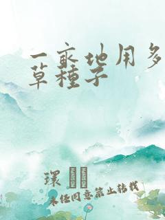 一亩地用多少牧草种子