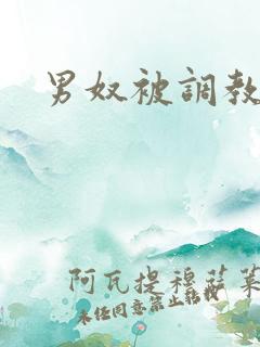 男奴被调教