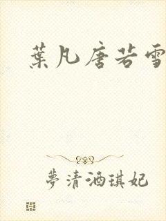 叶凡唐若雪王婿
