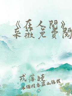 《在人间》儿媳采薇免费阅读