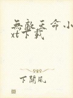 无敌天命小说txt下载