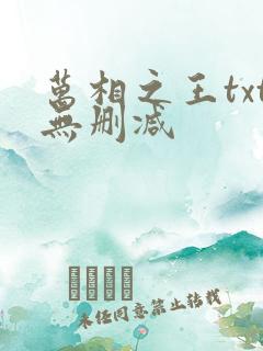 万相之王txt无删减