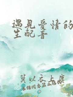遇见爱情的利先生配音