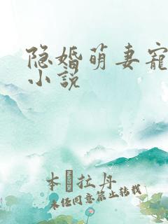 隐婚萌妻宠上瘾小说