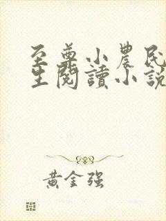 至尊小农民王木生阅读小说