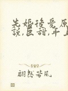 先婚后爱原耽小说,巨甜,年上