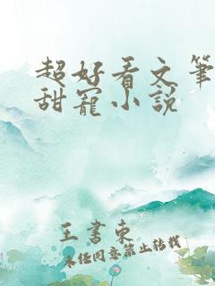 超好看文笔好的甜宠小说