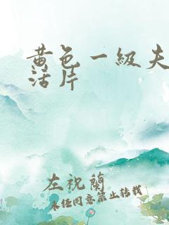 黄色一级夫妻生活片