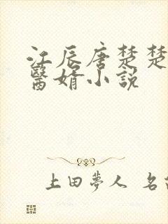 江辰唐楚楚龙王医婿小说