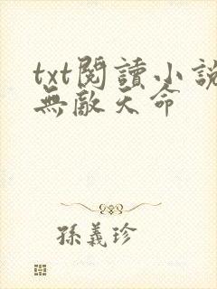 txt阅读小说无敌天命