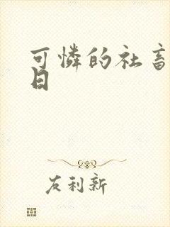 可怜的社畜东度日
