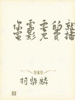 你需要的就是爱电影免费播放