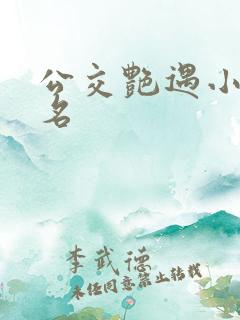 公交艳遇小说书名