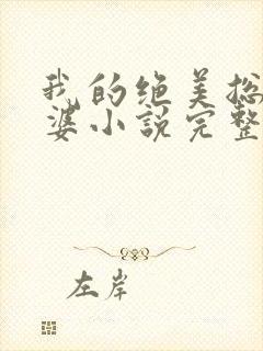 我的绝美总裁老婆小说完整版