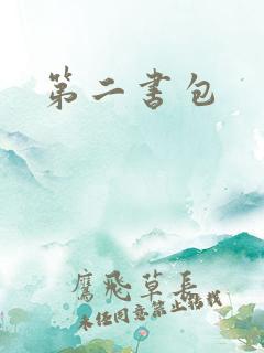 第二书包