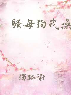 骚母狗我操死你