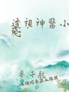透视神医小说林飞