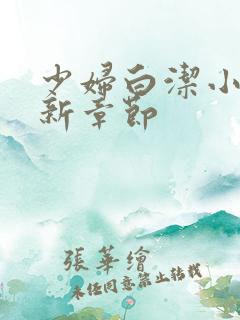 少妇白洁小说最新章节
