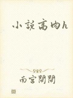 小说高肉h